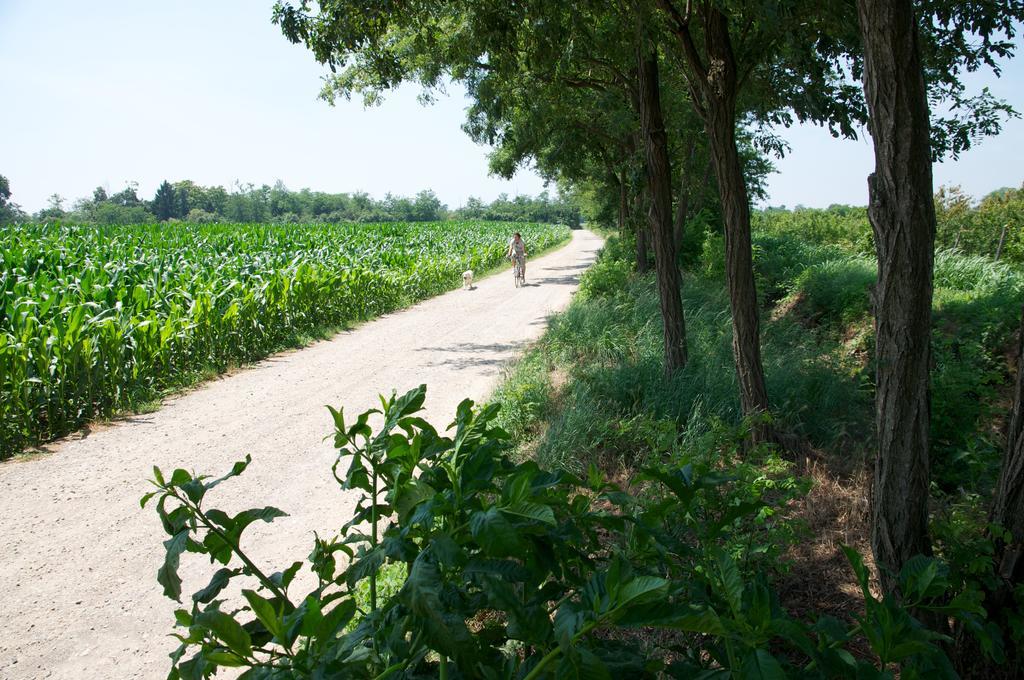 Cascina Delle Mele Bed and Breakfast Vittuone Buitenkant foto